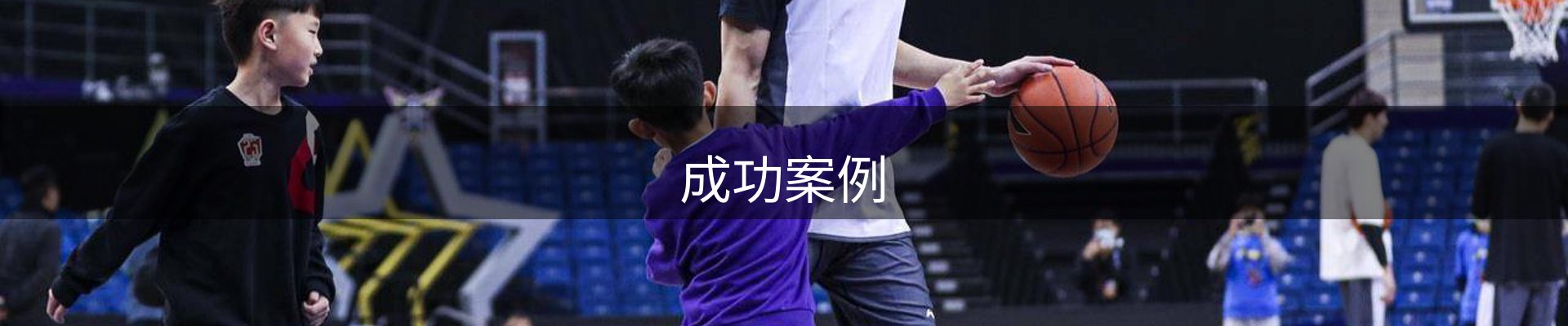 成功案例